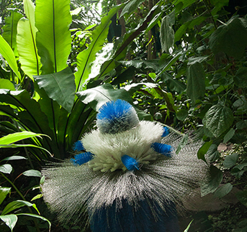 alexis_tricoire_Jardin Des Plantes spatulas