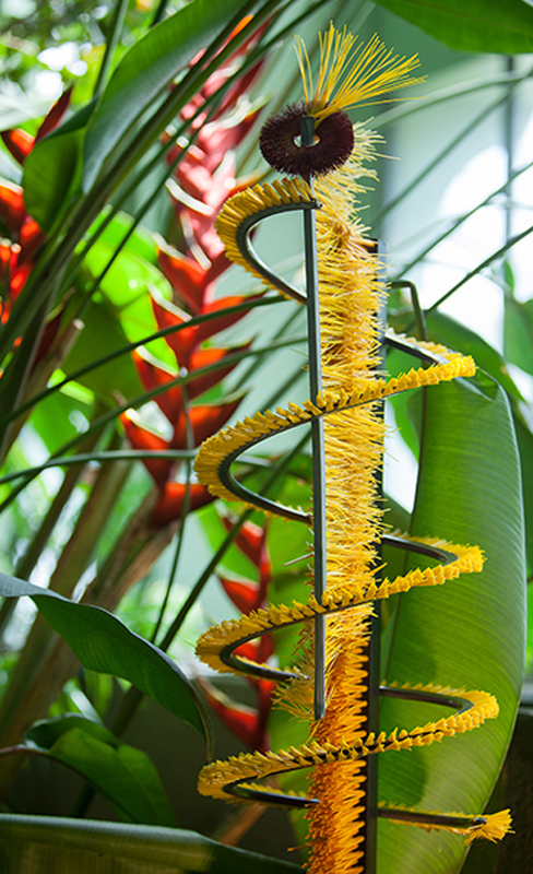 alexis_tricoire_Jardin Des Plantes spiral