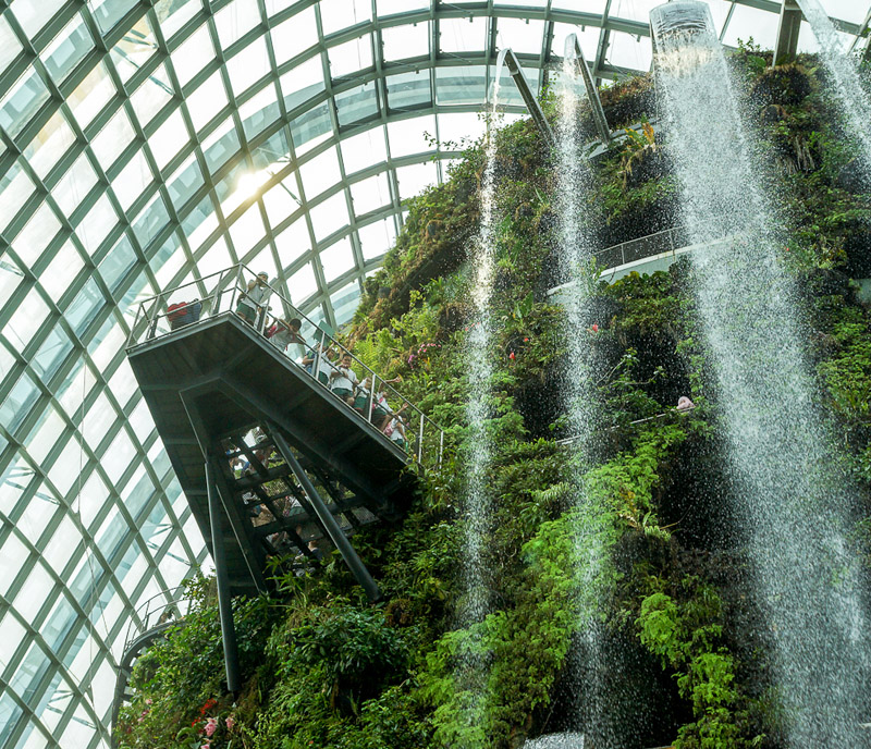Gardens By the Bay Cloud Forest