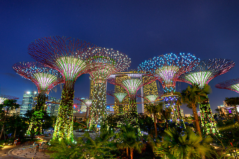 garden by the Bay Supertree Grove