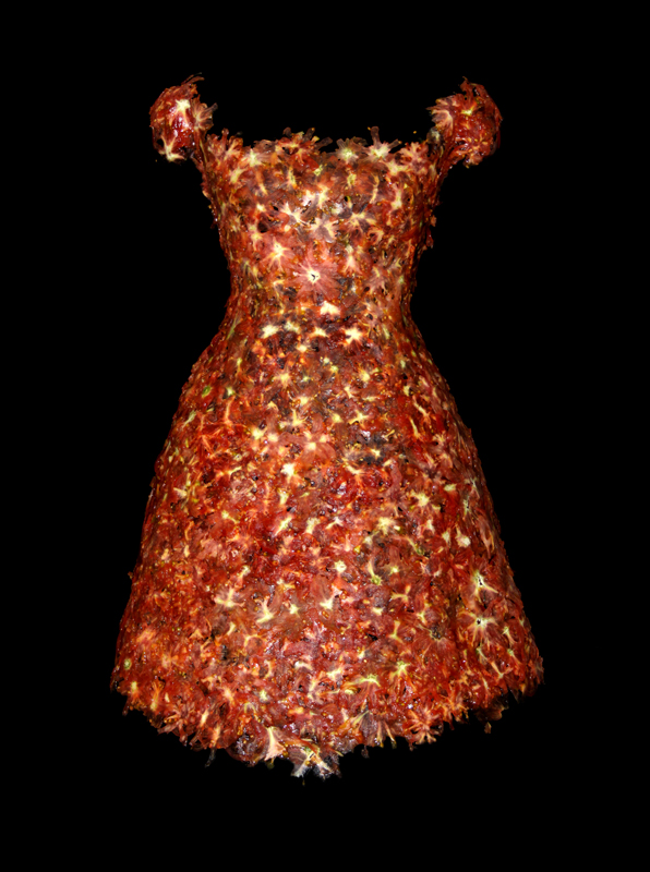 tomatoes dress by Yenjou Sung