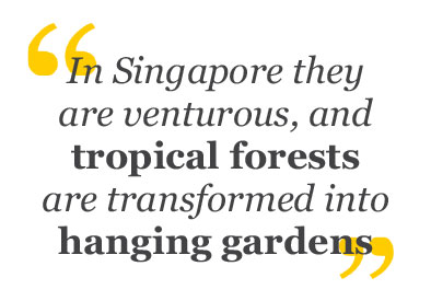 tropical forest quote
