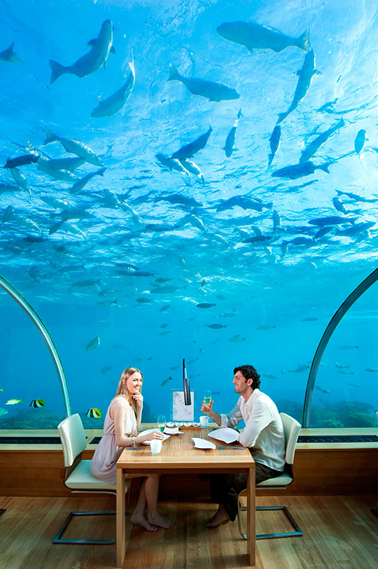 Conrad Maldives_Ithaa_Undersea_Restaurant_Portrait
