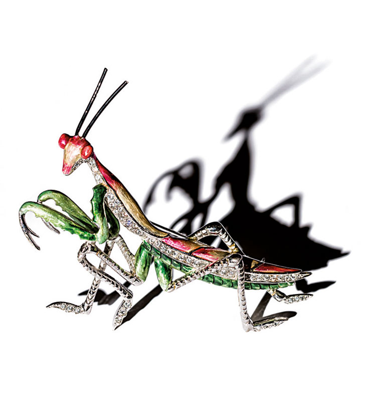 Praying_Mantis_Marcel_Boucher_Valuable-animals