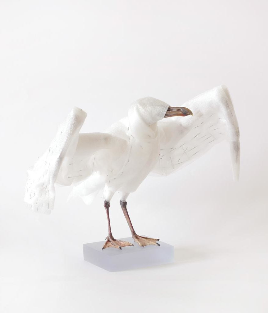 Cloth-and-Paper-Avian-Sculptures_2
